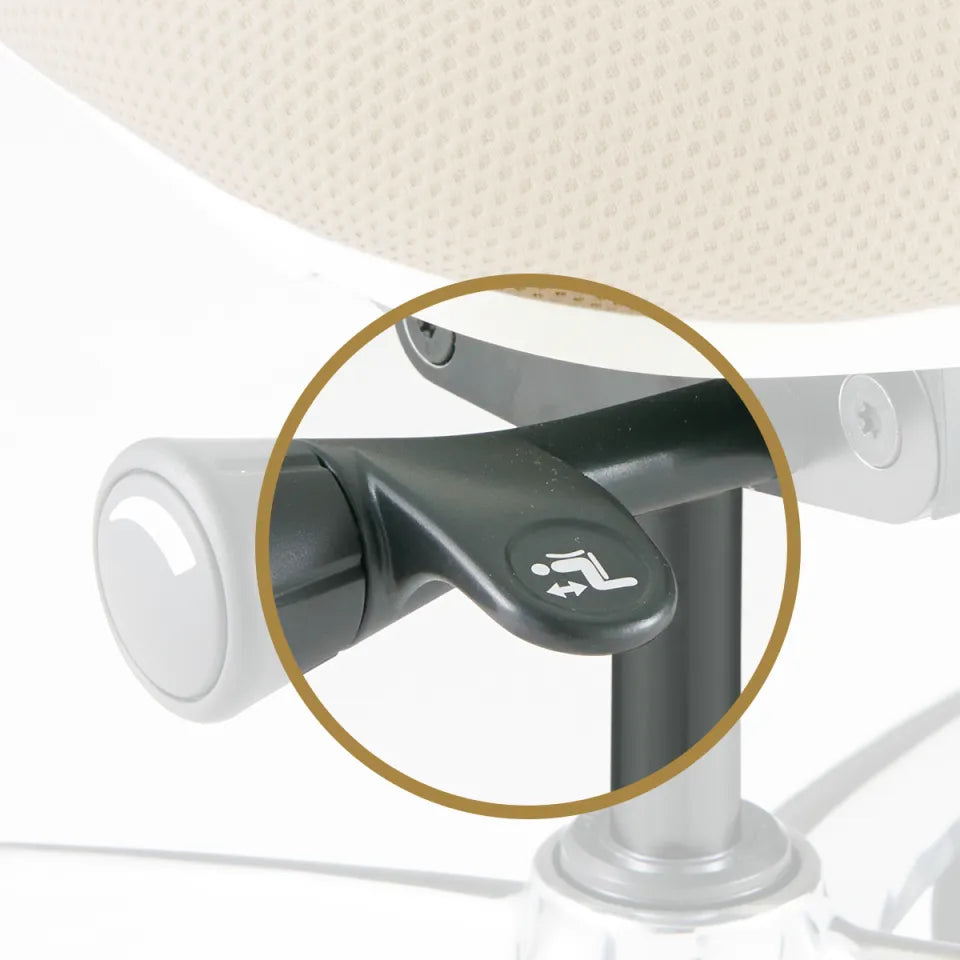 Ombra  Scopri la risonanza tra natura e tecnologia con