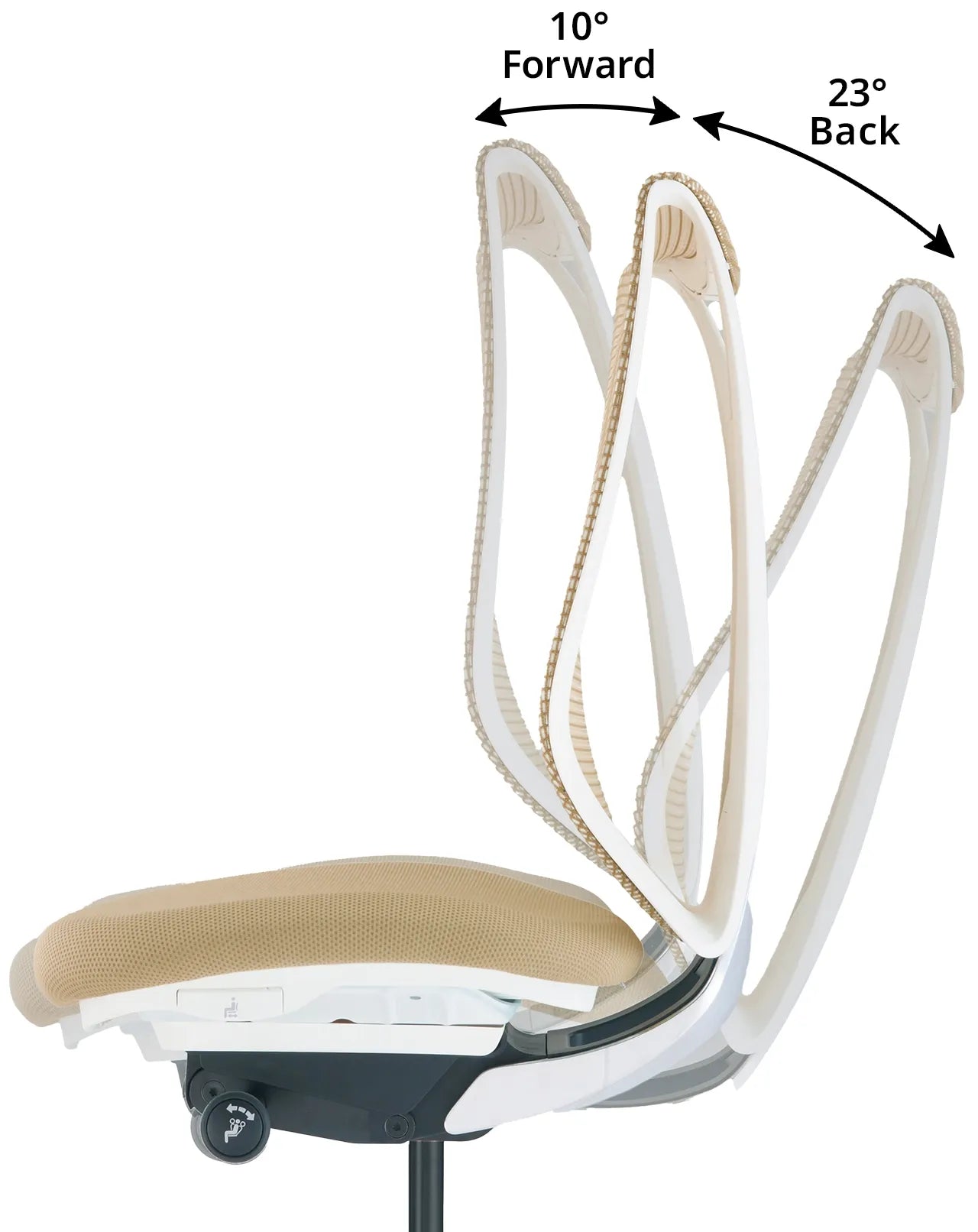 Ombra  Scopri la risonanza tra natura e tecnologia con